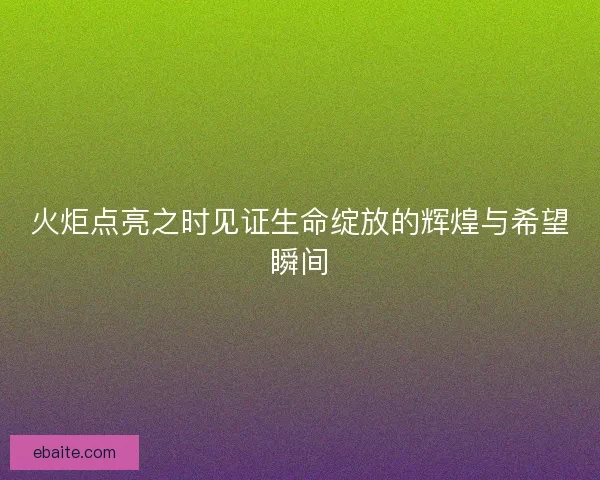 火炬点亮之时见证生命绽放的辉煌与希望瞬间
