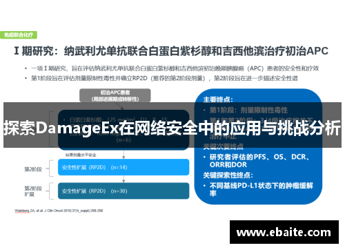 探索DamageEx在网络安全中的应用与挑战分析